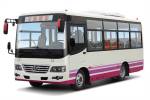 少林SLG6668C5GE公交车（柴油国五10-25座）