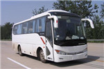 金龙XMQ6859AYN5C客车（天然气国五24-37座）