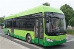 安凯HFF6120G03FCEV公交车（燃料电池20-39座）
