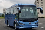 比亚迪BYD6811HZEV公交车（纯电动16-34座）