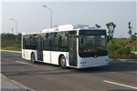 中车电动TEG6129BEV08公交车（纯电动20-38座）