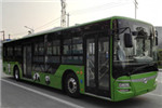 蜀都CDK6126CBEV1公交车（纯电动22-45座）