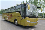 安凯HFF6121K10EV客车（纯电动24-59座）