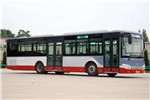 安凯HFF6121G15C公交车（天然气国五24-46座）