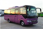 少林SLG6780C5E客车（柴油国五24-32座）