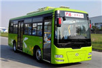 少林SLG6821EVG2公交车（纯电动10-35座）