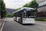 中兴GTZ6109BEVB1公交车（纯电动25-39座）