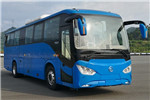 天津比亚迪TJK6110CBDEV公交车（纯电动23-48座）