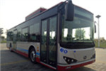 天津比亚迪TJK6126BEV公交车（纯电动33-41座）