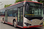 天津比亚迪TJK6102BEV公交车（纯电动30-38座）